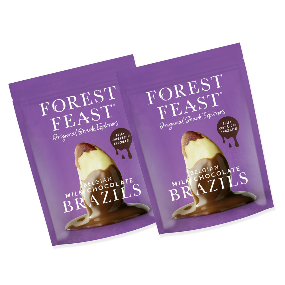 Milk Chocolate Covered Brazil Nuts - Brazil Nuts 